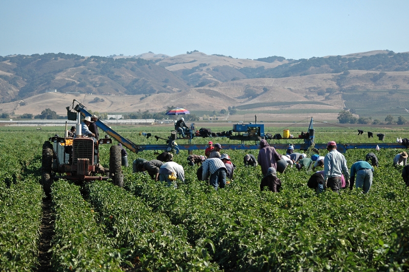 Sean Worley Quoted in Good Fruit Grower Regarding Ag Worker's Wages